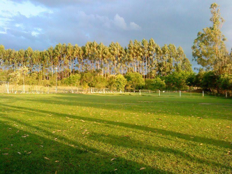 Campo ao entardecer